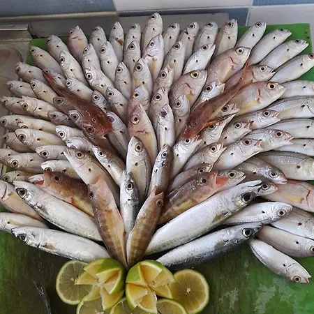 Gasthuis Swan Potamos tou Kambou